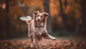 espiègle chiots prendre plaisir l'automne en plein air, séance dans herbeux forêt génératif ai photo