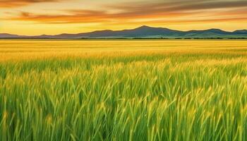 vibrant l'automne prairie, mûr blé, tranquille lever du soleil, vert Montagne paysage généré par ai photo