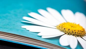 vibrant Marguerite fleur dans doux se concentrer, entouré par vert herbe généré par ai photo