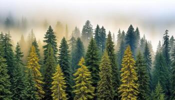 vibrant à feuilles persistantes sapin arbre des stands contre bleu Montagne paysage généré par ai photo