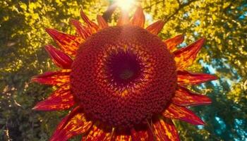 vibrant tournesol fleur dans prairie, la nature biologique décoration généré par ai photo