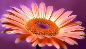 vibrant gerbera Marguerite, beauté dans nature, macro, multi coloré fleur généré par ai photo