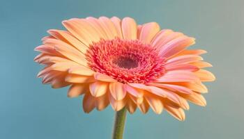 vibrant gerbera Marguerite, proche en haut de Célibataire fleur beauté dans la nature généré par ai photo