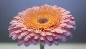 vibrant gerbera Marguerite fleurir, une cadeau de l'amour généré par ai photo