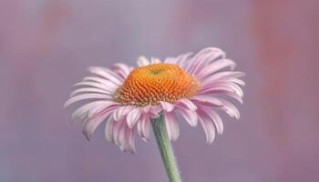 vibrant gerbera Marguerite fleurir, une cadeau de l'amour et beauté généré par ai photo