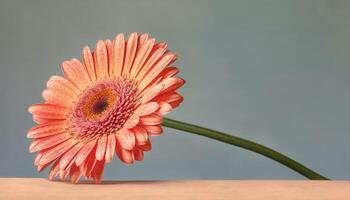 Frais gerbera Marguerite bouquet, une cadeau de la nature beauté généré par ai photo