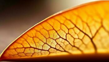 biologique fruit brille dans vibrant l'automne couleurs, rétro-éclairé par lumière du soleil généré par ai photo