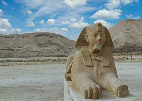 louxor Egypte Mars 23, 2023 statue de une peu sphinx à le temple de hatchepsout. louxor. Egypte photo