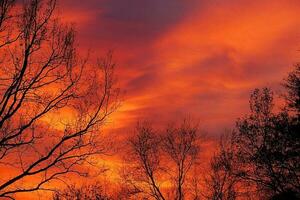 rouge l'automne ciel pendant le coucher du soleil avec noir formes de sans feuilles des arbres photo