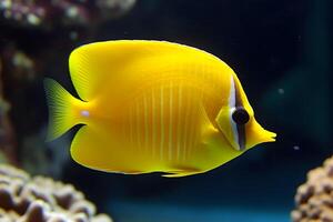 mer la vie exotique tropical corail récif bande de cuivre papillon poisson. neural réseau ai généré photo