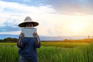 agricultrice à l'aide d'une tablette numérique dans les semis de riz vert dans une rizière avec un beau ciel et des nuages photo