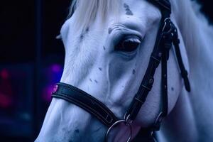 blanc cheval à nuit génératif ai photo