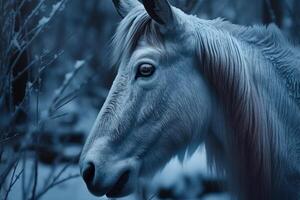 évocateur portrait cheval dans le du froid génératif ai photo