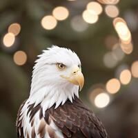 une proche en haut aigle, faucon, diriger, affronter, aile, en volant . ai génératif photo