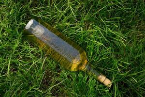 bouteille de blanc du vin sur une vert herbe. photo
