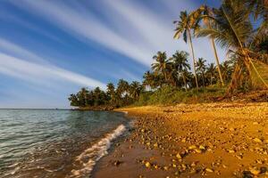 magnifique tropical plage avec noix de coco palmiers. koh changé. Thaïlande. photo