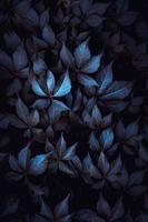 plante bleue laisse dans la nature photo
