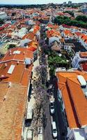 aérien drone vue de une rue dans cascais, le Portugal avec violet jacaranda arbre feuilles pendant le printemps photo