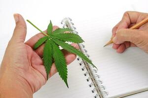 main en portant Frais cannabis feuille ou marijuana feuille et l'écriture sur carnet avec crayon. recherche, herbe et médicament concept. photo