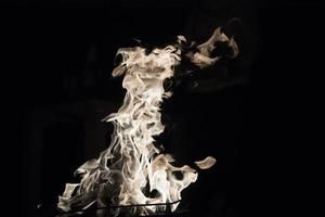 des langues de flammes froides dansent la nuit photo