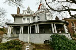 victorien Manoir - buisson plat, Brooklyn photo