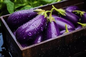 Haut vue de plein Cadre aubergines avec brillant gouttelettes l'eau dans en bois boîte. ai généré photo