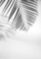 tropical feuilles Naturel ombre recouvrir sur blanc texture Contexte verticale style, pour recouvrir sur produit présentation, toile de fond et maquette photo