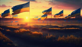 champ de ukrainien drapeaux à le coucher du soleil. ai généré. photo