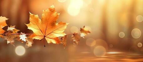 magnifique l'automne feuilles Contexte illustration. ai généré photo