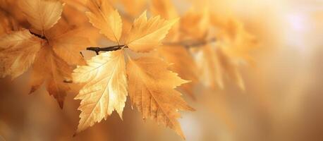 magnifique l'automne feuilles Contexte illustration. ai généré photo