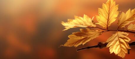 magnifique l'automne feuilles Contexte illustration. ai généré photo