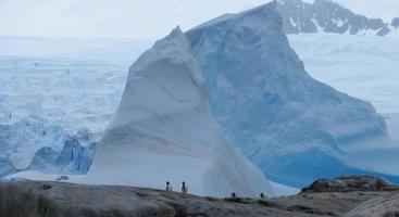 La beauté des icebergs sur l'île Petermann en Antarctique photo