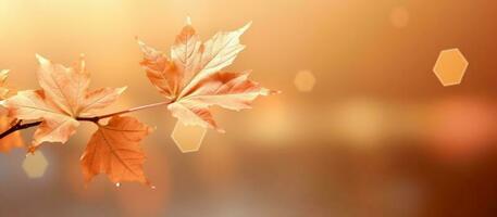 magnifique l'automne feuilles Contexte illustration. ai généré photo