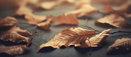 magnifique l'automne feuilles sur flou Contexte. ai généré photo