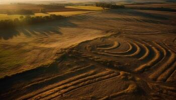 le coucher du soleil plus de rural cultiver, tranquille beauté dans la nature généré par ai photo