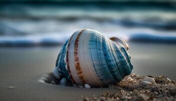 coquillage collection décore sablonneux plage à le coucher du soleil généré par ai photo