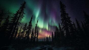 majestueux pin des arbres illuminé par étoilé nuit généré par ai photo