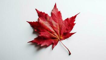 vibrant l'automne érable feuille sur blanc Contexte généré par ai photo