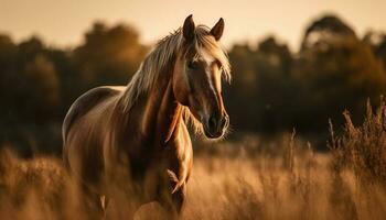 de race cheval broute dans tranquille Prairie à le coucher du soleil généré par ai photo
