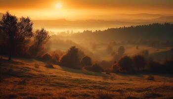 tranquille lever du soleil plus de brumeux l'automne forêt paysage généré par ai photo