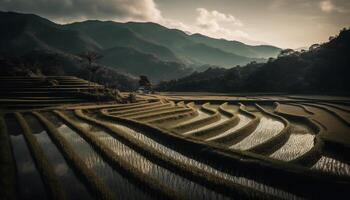 riz rizières courbe par sa Pennsylvanie montagnes généré par ai photo