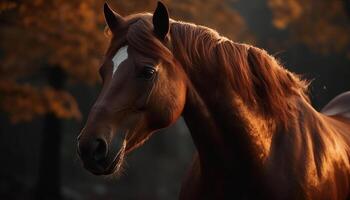 magnifique baie cheval broute dans rural Prairie généré par ai photo