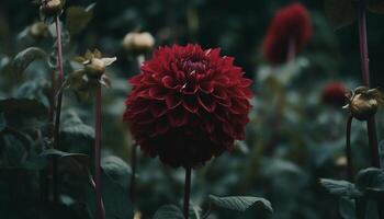 vibrant dahlia fleurir, une cadeau de la nature fleuri conception généré par ai photo