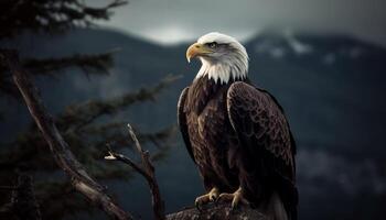 majestueux chauve Aigle se percher sur bifurquer, une symbole de liberté généré par ai photo