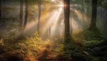 une mystérieux l'automne forêt, tranquille et magnifique dans la nature couleurs généré par ai photo