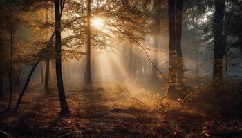 tranquille lever du soleil illumine mystérieux l'automne forêt, une vibrant région sauvage scène généré par ai photo