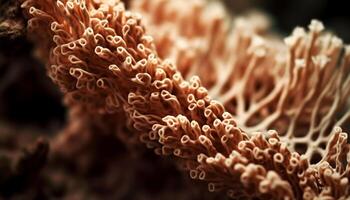 proche en haut de coloré cnidaire tentacules dans sous-marin récif environnement généré par ai photo