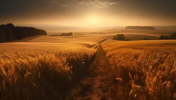 une tranquille scène à crépuscule, roulant paysage avec d'or blé généré par ai photo