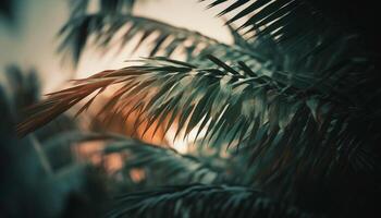 silhouette de paume arbre contre vibrant le coucher du soleil dans tropical paradis généré par ai photo