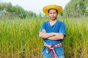 Les agriculteurs sont explorant le riz des champs. photo
